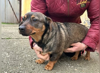 Corinna, geboren 07.06.2024, 30cm sucht ihr Glück