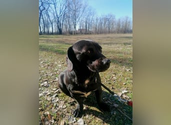 Brooklyn, geboren 01.11.2021, 32cm sucht sein Zuhause