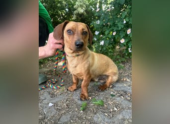Pepe, 1 Jahr, 27cm sucht sein Glück