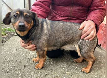 Corinna, geboren 07.06.2024, 30cm sucht ihr Glück