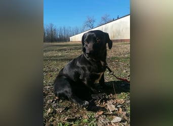 Brooklyn, geboren 01.11.2021, 32cm sucht sein Zuhause