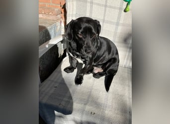 Brooklyn, geb. 11/2021, 32 cm, sucht geduldige Menschen