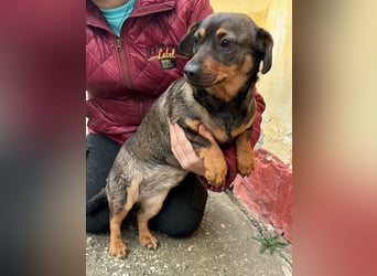 Corinna, geboren 07.06.2024, 30cm sucht ihr Glück