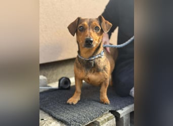 Suzy, geboren 01.01.2024, 27cm sucht ihre Menschen