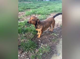 Suzy, geboren 01.01.2024, 27cm sucht ihre Menschen