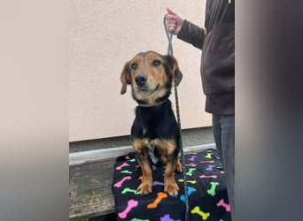 Muki, geboren 2023, 34cm sucht sein Zuhause