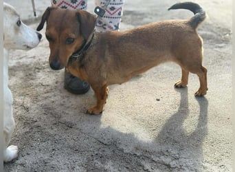 Suzy, geboren 01.01.2024, 27cm sucht ihre Menschen