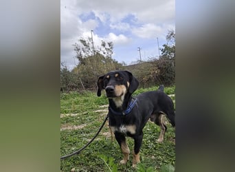 Otto: ein Schatz für überall mit Dabei