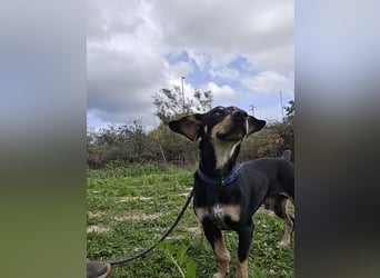 Otto: ein Schatz für überall mit Dabei