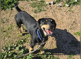 Otto: ein Schatz für überall mit Dabei