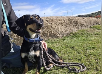 Otto: Spaß und gute Laune garantiert