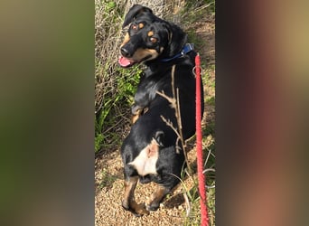 Otto: ein Schatz  für die ganze Familie