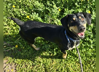 Otto: Spaß und gute Laune garantiert