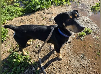 Otto: ein Schatz  für die ganze Familie