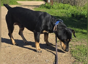 Otto: Spaß und gute Laune garantiert