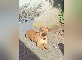 Hero sucht die richtigen Menschen