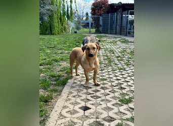 Hero sucht die richtigen Menschen