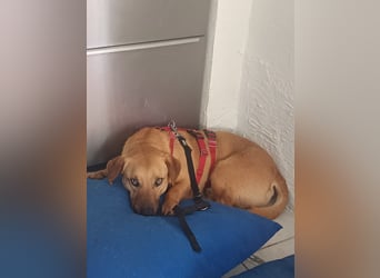 Hero sucht die richtigen Menschen