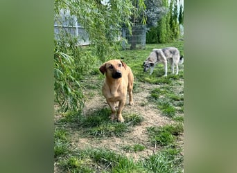 Hero sucht die richtigen Menschen