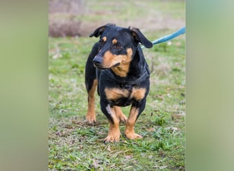 Hermina - schüchtern, lieb