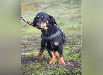 Tubi ST - offen, lieb