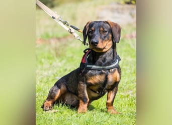 Bütyök SI - vertraglich, etwas unsicher