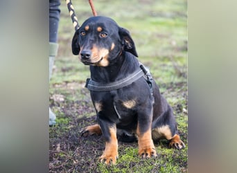 Tubi ST - offen, lieb