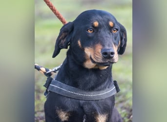 Tubi ST - offen, lieb