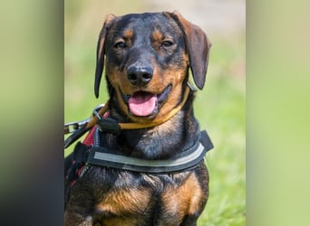 Bütyök SI - verträglich, etwas unsicher