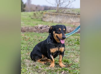 Hermina SI - menschenbezogen, lieb