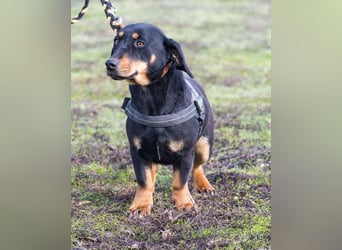 Tubi ST - offen, lieb