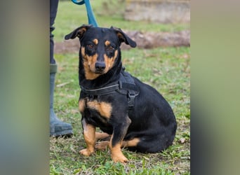 Hermina - schüchtern, lieb