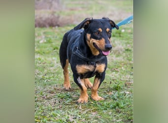 Hermina - schüchtern, lieb