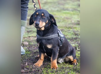 Tubi ST - offen, lieb