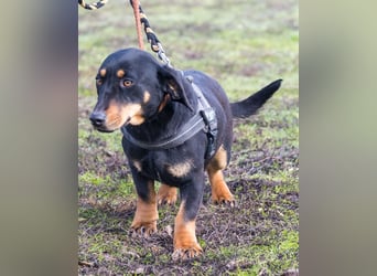 Tubi ST - offen, lieb