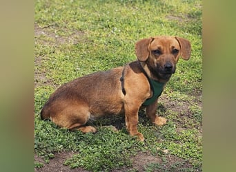 Poldine ist freundlich und aufgeweckt