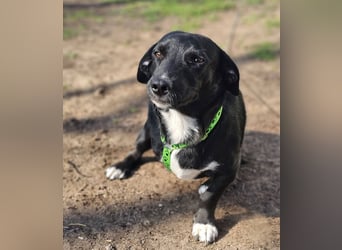 Ilse hat ein zauberhaftes, liebes Wesen