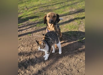 Bea bringt viel Persönlichkeit mit