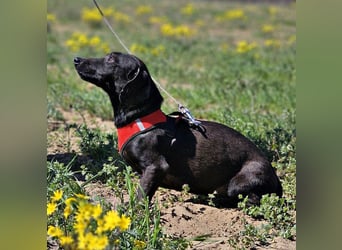 Anna zeigt ein gutes Sozialverhalten