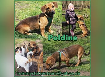 Poldine ist freundlich und aufgeweckt