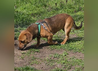 Poldine ist freundlich und aufgeweckt