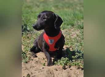 Anna zeigt ein gutes Sozialverhalten