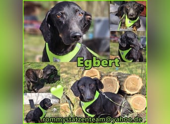 Egbert hat noch viel Freude an Bewegung