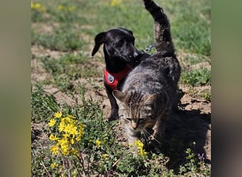 Anna zeigt ein gutes Sozialverhalten