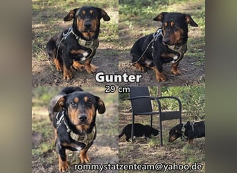 Gunter ist bereit, viel zu lernen