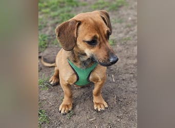 Poldine ist freundlich und aufgeweckt