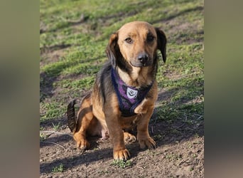 Bea bringt viel Persönlichkeit mit