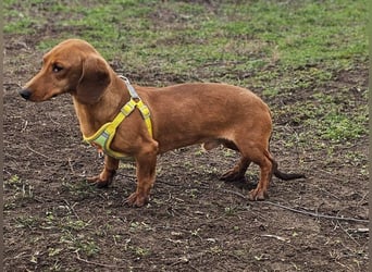 Eddi hat ein freundliches Wesen