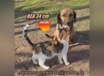 Bea bringt viel Persönlichkeit mit