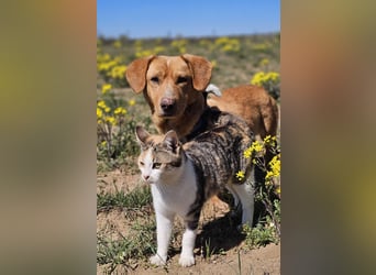 Kuno - lernfreudig und voller Energie